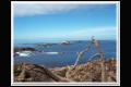 Impressionen 2 Monterey - Pismo Beach (8).jpg